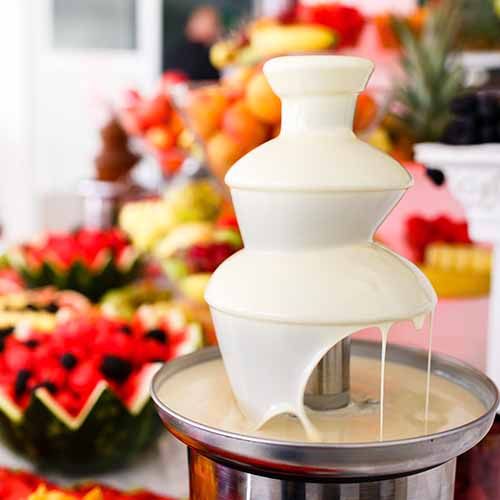 Queso Fountain Rental